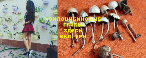 PSILOCYBIN Богданович