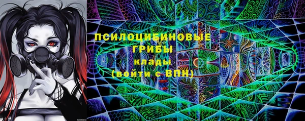 PSILOCYBIN Богданович